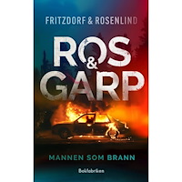 Lotta Fritzdorf Mannen som brann (inbunden)