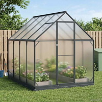 vidaXL Trädgård Växthus med dörr Antracit 183,5 x 243,5 x 207 cm