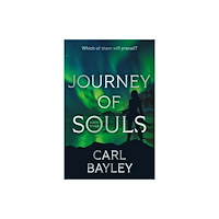 Troubador Publishing Journey of Souls (häftad, eng)