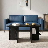 vidaXL Kaffeebord Svart ek 87 x 50 x 45 cm Konstruerat trä
