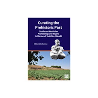 Archaeopress Curating the Prehistoric Past (inbunden, eng)