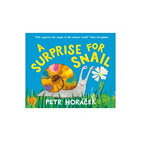 Walker Books Ltd A Surprise for Snail (inbunden, eng)