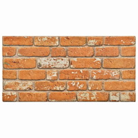 vidaXL Väggpaneler 10 pcs Tegel 100 x 50 cm EPS Skum