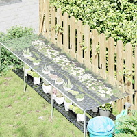 vidaXL Växtskydd Transparent 2,5 x 1,5 m PVC