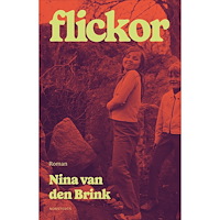 Nina van den Brink Flickor (inbunden)