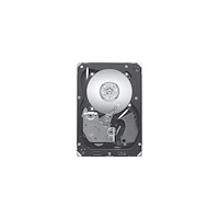 Seagate Seagate Cheetah 15K ST3600057SS - hårddisk - 600 GB - SAS 6Gb/s