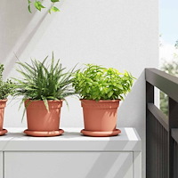 vidaXL Rund Blomkruka 6 pcs Murgrön Ø 14 x 2 cm Plast