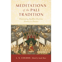 L. S. Cousins Meditations of the Pali Tradition (bok, storpocket, eng)