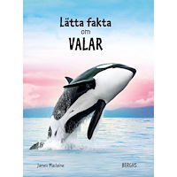 James Maclaine Lätta fakta om valar (inbunden)