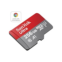 SANDISK SanDisk Ultra - flash-minneskort - 256 GB - mikroSDXC UHS-I
