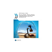 IWA Publishing Drying Wells, Rising Stakes – Towards Sustainable Agricultural Groundwater Use (häftad, eng)