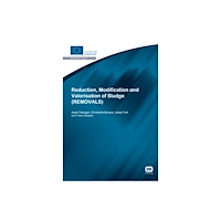 IWA Publishing Reduction, Modification and Valorisation of Sludge (häftad, eng)
