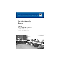 IWA Publishing Aerobic Granular Sludge (häftad, eng)
