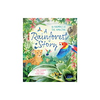 Pan Macmillan A Rainforest Story (häftad, eng)