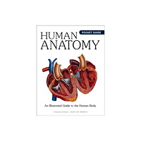 Amber Books Ltd Human Anatomy (häftad, eng)