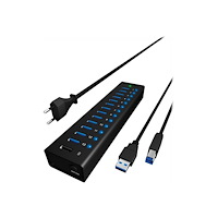 RaidSonic Technology ICY BOX IB-AC6113 - hubb - 13 portar