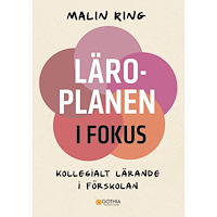 Malin Ring Läroplanen i fokus : kollegialt lärande i förskolan (häftad)