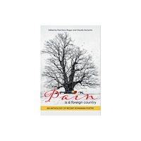Histria LLC Pain Is a Foreign Country (häftad, eng)