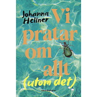 Johanna Hellner Vi pratar om allt (utom det) (bok, flexband)
