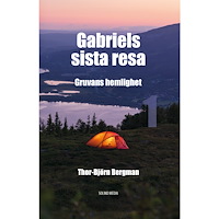 Thor-Björn Bergman Gruvans hemlighet (inbunden)