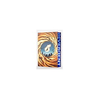 Veronica Roth Divergent Deluxe Limited Edition - Divergent (inbunden, eng)
