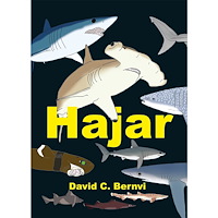 David C. Bernvi Hajar : en spännande faktabok (inbunden)