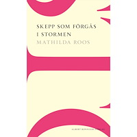 Mathilda Roos Skepp som förgås i stormen (häftad)