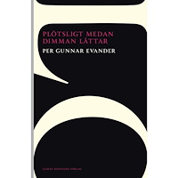 Per Gunnar Evander Plötsligt medan dimman lättar (häftad)
