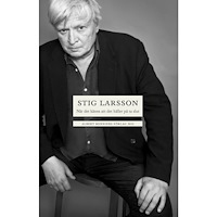 Stig Larsson När det känns att det håller på ta slut (häftad)