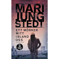 Mari Jungstedt Ett mörker mitt ibland oss (häftad)