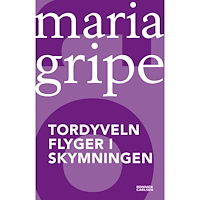 Maria Gripe Tordyveln flyger i skymningen (häftad)