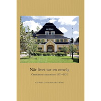 Gunhild Hammarström När livet tar en omväg : Österåsens sanatorium 1931–1932 (häftad)
