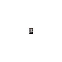 Annette Kullenberg Gunnar Karlsson reser västerut (häftad)