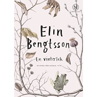 Elin Bengtsson En vinterlek (häftad)