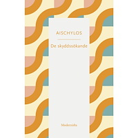 Modernista De skyddssökande (häftad)