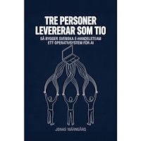 Jonas Wärngård Tre personer levererar som tio : så bygger svenska e-handelsteam ett operativsystem för AI (häftad)