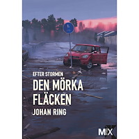 Johan Ring Efter stormen. Den mörka fläcken (häftad)