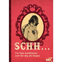 Lina Forss Schh ... : Tio heta berättelser som får dig att längta (häftad)