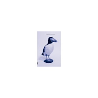 Joakim Norling Where did this begin? : Testbild! (häftad)