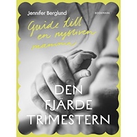 Jennifer Berglund Den fjärde trimestern (bok, kartonnage)