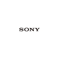 Sony Sony 149300413, TV, 100