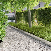 vidaXL Kant för gräsmatta 20 pcs 103 x 20 cm Stål Silver