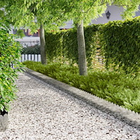 vidaXL Kant för gräsmatta 20 pcs 103 x 25 cm Stål Silver