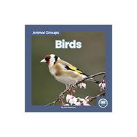 North Star Editions Birds (inbunden, eng)