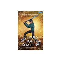 O'Brien Press Ltd Heroes of Light and Shadow (häftad, eng)