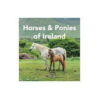 O'Brien Press Ltd Horses and Ponies of Ireland (inbunden, eng)