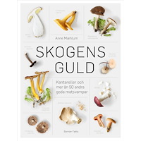 Anne Maehlum Skogens guld (inbunden)