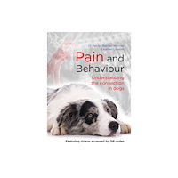 First Stone Publishing Pain and Behaviour (häftad, eng)