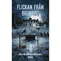 Nina Källmodin Flickan från brunnen (bok, kartonnage)