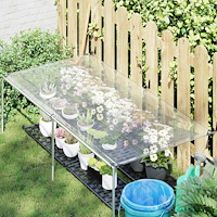 vidaXL Växtskydd Transparent 2,5 x 1 m PE